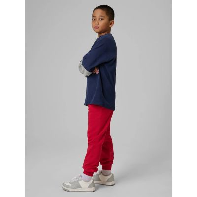 6. Boys' jogger sweatpants 4F 4FJRSS26TTROM1824-62S