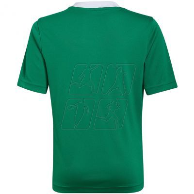3. T-shirt adidas Entrada 22 Jersey Jr HI2126