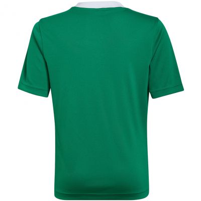 3. adidas Entrada 22 Jersey Jr HI2126