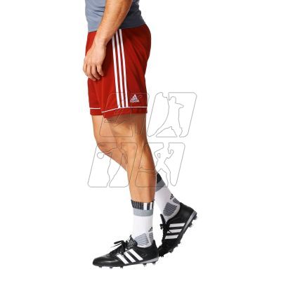 7. Adidas Squadra 17 M BJ9226 football shorts