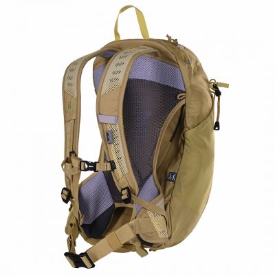 5. Deuter AC LITE 15 SL Sprout-Linden Hiking Backpack