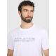 5. Men's regular printed T-shirt 4F 4FRAW25TTSHM3384-10S