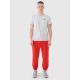 6. Men's jogger sweatpants 4F 4FWMM00TTROM1139-62S