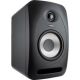 Tannoy REVEAL 502 studio monitor
