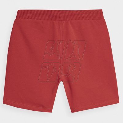 2. Shorts 4F Jr 4FJSS23TSHOM048 62S