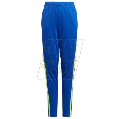 Adidas Squadra 21 Training Pant Youth Jr GP6449