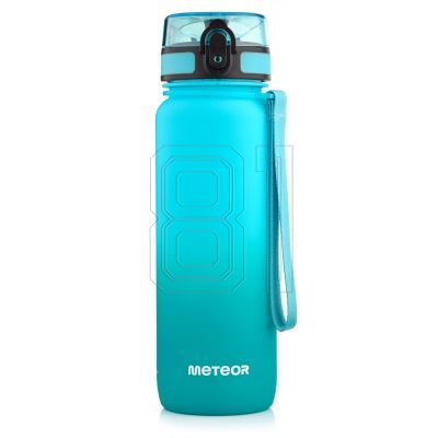 Meteor Bottle 800 ml 17661 Green/Blue