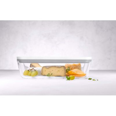 10. ZWILLING Fresh & Save 36812-100-0 Glass Storage Container - Gray 2 Ltr
