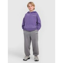 Boys' jogger sweatpants 4F 4FJRAW25TTROM1528-24S
