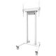 22. Neomounts FL55-875WH1 Sign Mount 2.54 m (100") White