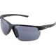 2. ALPINA DEFEY HR glasses, color BLACK MATT, black glass, Cat. 3
