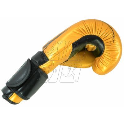 2. Masters leather boxing gloves RBT-9 0109-0112