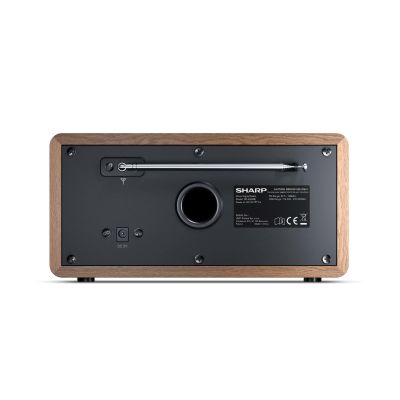 4. Sharp DR-450(BR) digital radio with Bluetooth technology