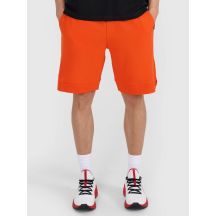 Men's sweatpants 4F 4FRSS25TSHOM686-70S