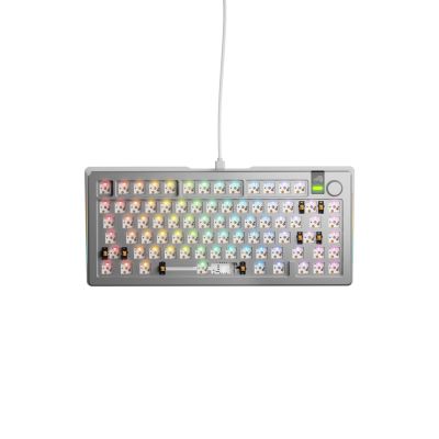 2. Glorious GMMK 3 Pro 75% Custom Gaming-Tastatur Gaming Keyboard - Barebone, ANSI-Layout, Silver