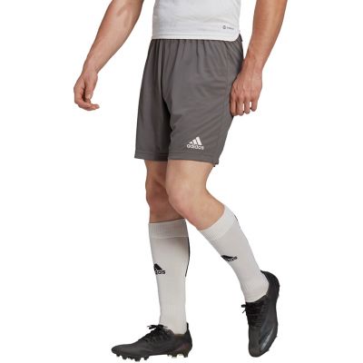 6. adidas Entrada 22 M H57505 shorts