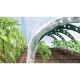 8. FLOO GREENHOUSE FOIL TUNNEL 240CM FOREST GREEN