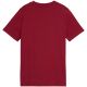 2. Puma ESS Small No. 1 Logo Centered Tee for Kids Brown 692975 23