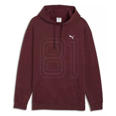 Puma ESS Elevated Relaxed Wash Hoodie M 688049 96