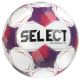 Select Numero 10 FIFA Basic Ball 110048 White Size 5