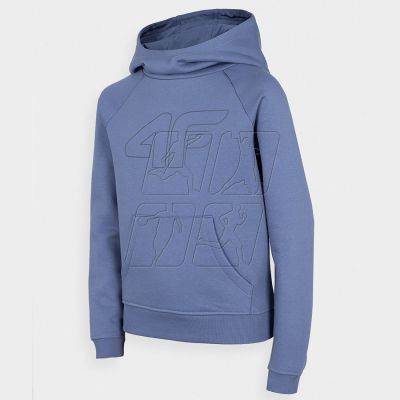 6. Sweatshirt 4F Jr. HJZ22-JBLD003 32S