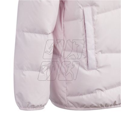 5. Jacket adidas Frosty Jacket Jr. HM5237