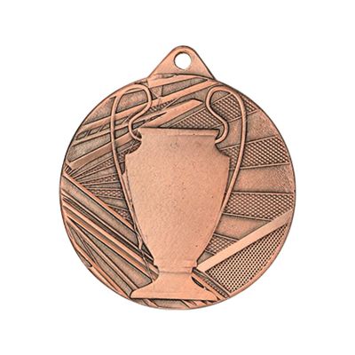 6. Overall bronze medal with cup