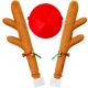 3. REINDEER CAR DECORATION KIT
