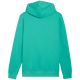 3. Puma ESS No. 1 Logo Centered Hoodie Green 692914 40