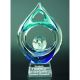 8. Engraved glass trophy with case