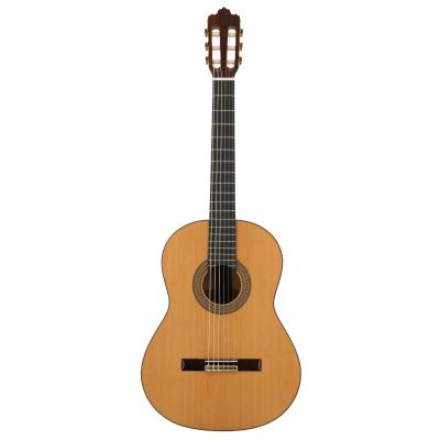 Prodipe Guitars Soloist 900 4/4 - classical guitar
