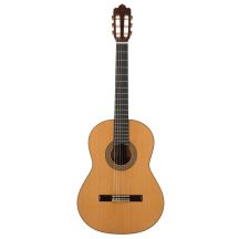 Prodipe Guitars Soloist 900 4/4 - classical guitar
