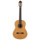 Prodipe Guitars Soloist 900 4/4 - classical guitar