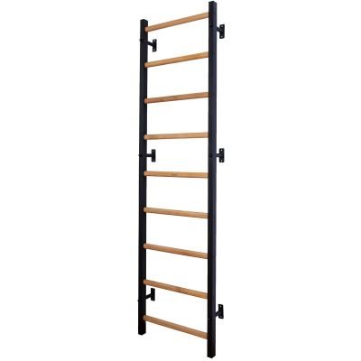 110. GYMNASTIC LADDER, HANDLEBAR AND BENCH BENCHK 733B