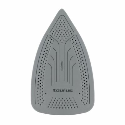 3. Taurus Quios 3000W Iron