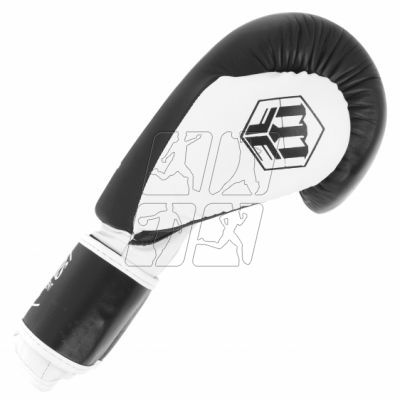 2. Boxing gloves MASTERS RPU-TR 011112-12