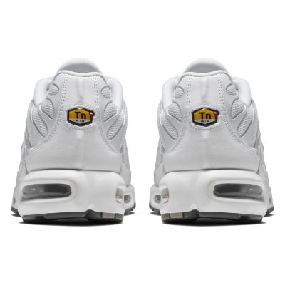 2. Nike Air Max Plus M 604133-139 Shoes