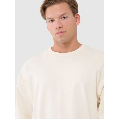 4. Men's oversize sweatshirt without zipper, without hood 4F 4FWSS25TSWSM1536-80S-12S