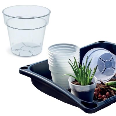 4. PLANTI POT TRANSPARENT 12CM