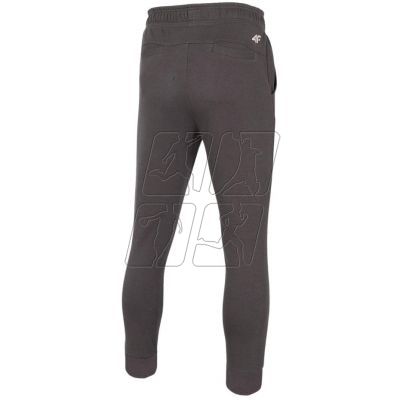 2. Pants 4F M H4Z22 SPMD015 80S