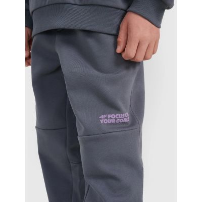 4. Boys' jogger sweatpants 4F 4FJRAW25TTROM1605-22S