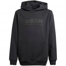 Adidas Allszn GFX HD Jr sweatshirt IS4661
