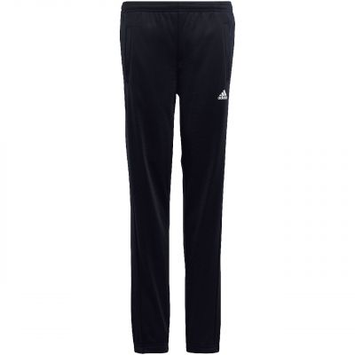 4. adidas Essentials Big Logo Track Suit Jr HR6408