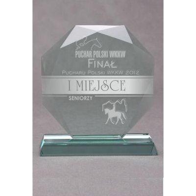 4. Engraved glass trophy with case