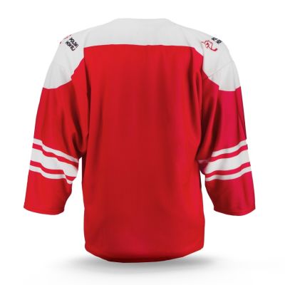 4. Official replica of PZHL Poland 25/26
