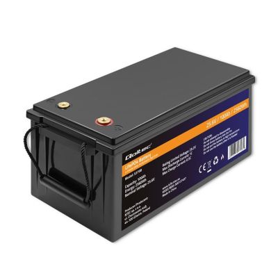 Qoltec LiFePO4 Lithium-Iron-Phosphate Battery 25.6V, 100Ah, 2560Wh, BMS