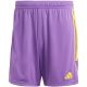 10. adidas Tiro 23 League M IB8089 shorts