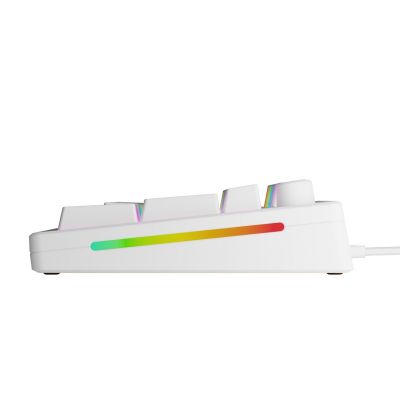 5. Glorious Gaming GMMK 3 HE 100% Prebuilt USB Keyboard QWERTY US English White