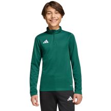 adidas Entrada 26 Training Top green kids sweatshirt KE9825