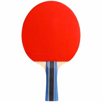 2. Cornilleau Sport 200 Table Tennis Racket